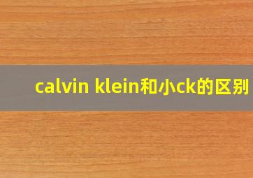 calvin klein和小ck的区别